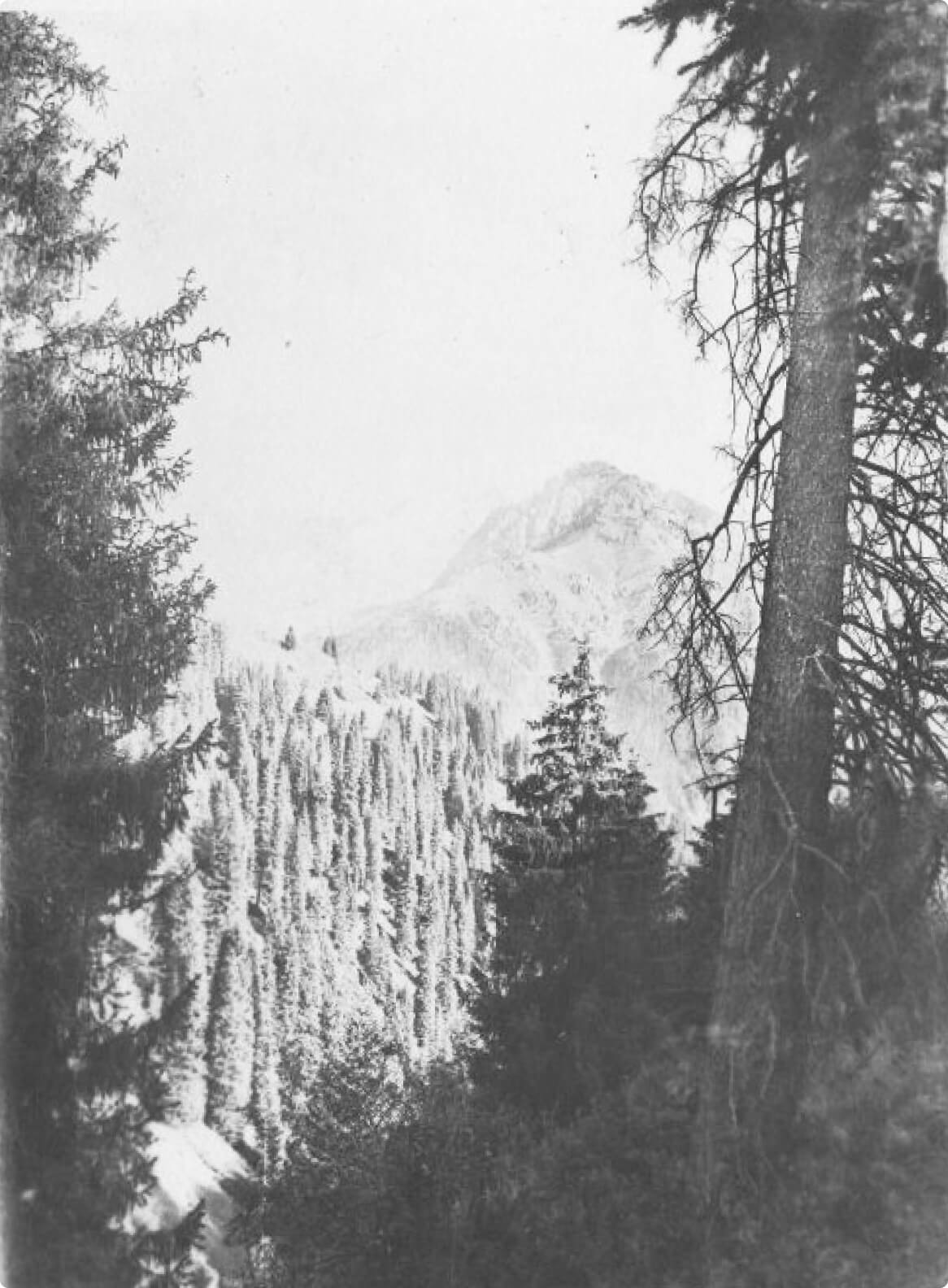 Иссыкское ущелье (ущелье Заилийского Алатау), 1917-1918