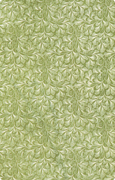 П. П. Семенов-Тян-Шанский летом в деревне