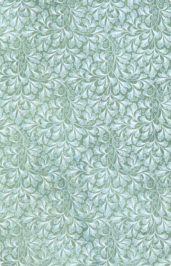 Первая поездка на Тянь-Шань или Небесный хребет до верховья системы р. Яксарта или Сыр-Дарьи действительного члена П. П. Семенова в 1857 году